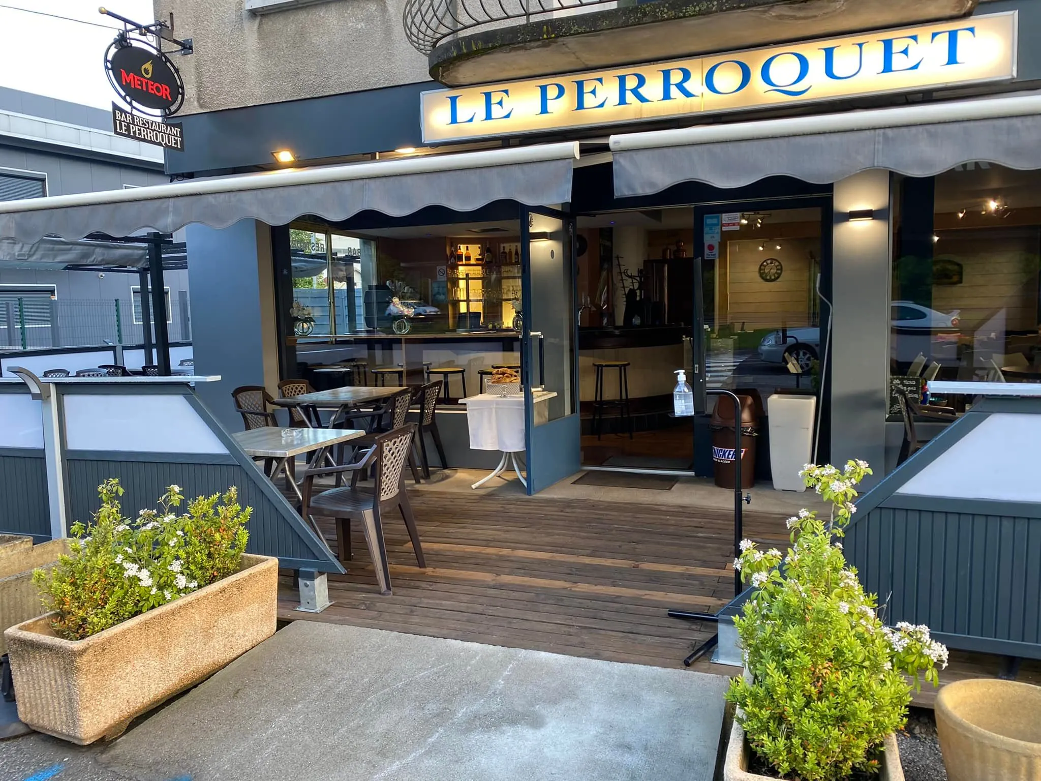 Le perroquet - Publier